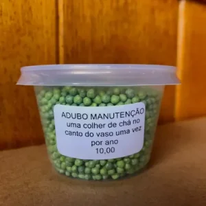 adubo de manutenção para orquídeas