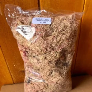 substratos de carnívoras